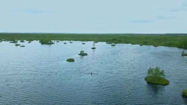 Ovanifrån Sumpigt Landskap Flygfoto Över Träsket Med Lake Miljöreservationskoncept Vild — Stockvideo