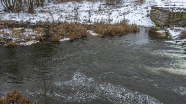 Kışın erken saatlerinde bulutlu bir günde küçük bir nehrin kış manzarası. Kristallerin içinde kurumuş çimenler var. Kışın bir tarlada akan su..