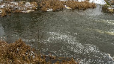 Kışın erken saatlerinde bulutlu bir günde küçük bir nehrin kış manzarası. Kristallerin içinde kurumuş çimenler var. Kışın bir tarlada akan su..
