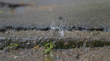 Yağmurlu bir günde su birikintilerine düşen yağmur damlaları. Şehirdeki asfalta büyük bir yağmur damlası düşüyor. Yakın plan yağmur damlaları, şehirde kötü hava..