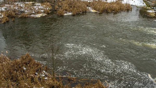 Kışın erken saatlerinde bulutlu bir günde küçük bir nehrin kış manzarası. Kristallerin içinde kurumuş çimenler var. Kışın bir tarlada akan su..