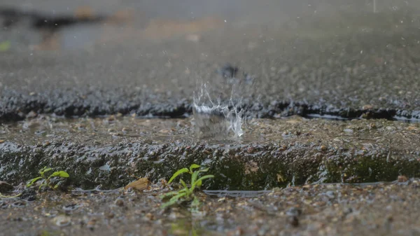 Yağmurlu bir günde su birikintilerine düşen yağmur damlaları. Şehirdeki asfalta büyük bir yağmur damlası düşüyor. Yakın plan yağmur damlaları, şehirde kötü hava..