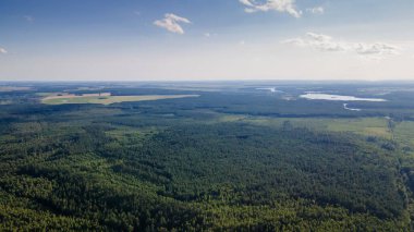 Yüksekten çam ormanı. Uçağı yemyeşil bir çam ormanının üzerinde..