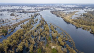 Nehir taşkınının havadan görüntüsü. Sel basmış güzel çayır. Nehir baharda suyla doluyken Pripyat nehrinin üzerinde uçmak.