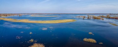 Nehir taşkınının havadan görüntüsü. Sel basmış güzel çayır. Nehir baharda suyla doluyken Pripyat nehrinin üzerinde uçmak.