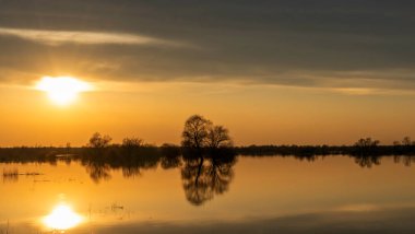 Gün batımında suların yükseldiği bir dönemde ağaçları sel basmış. Alacakaranlıkta sudaki ağaçlar. Beyaz Rusya 'nın Turov kenti yakınlarındaki Pripyat Nehri' nin taşmasıyla manzara. Doğa ve seyahat kavramı.