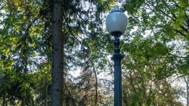 Yaz yeşilliklerinde sokak feneri. Güneş ışığı. Gün boyunca parktaki sokak lambası kapalı..