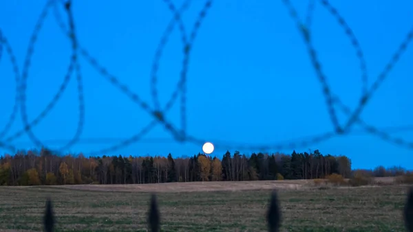 Defocused Barbed Wire Abstract Full Moon Sky Background Border Barbed — Stockfoto