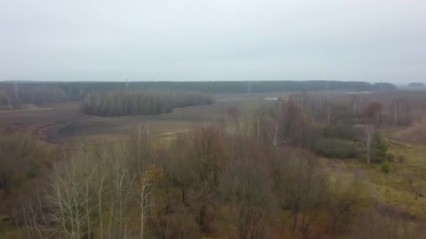 Vue Dessus Des Champs Agricoles Automne Dans Brouillard Brouillard Brouillard — Video