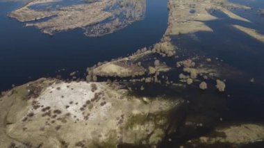 Dalgalanan sular altında kalan ağaçlar. Sudaki ağaçlar. Beyaz Rusya 'nın Turov kenti yakınlarındaki Pripyat Nehri' nin taşmasıyla manzara.