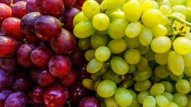 Piles of red and green grapes are ready to be served and enjoyed.