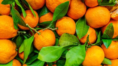 Meyve taze mandarin portakal veya mandalina yapraklarla arka plan olarak.