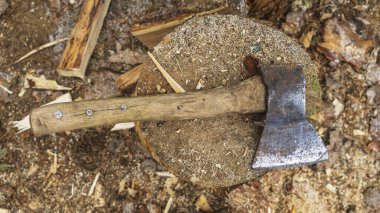 Close-up on a rusty ax above a wood stump. Business and countryside life concept.