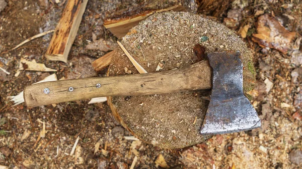 Close-up on a rusty ax above a wood stump. Business and countryside life concept.