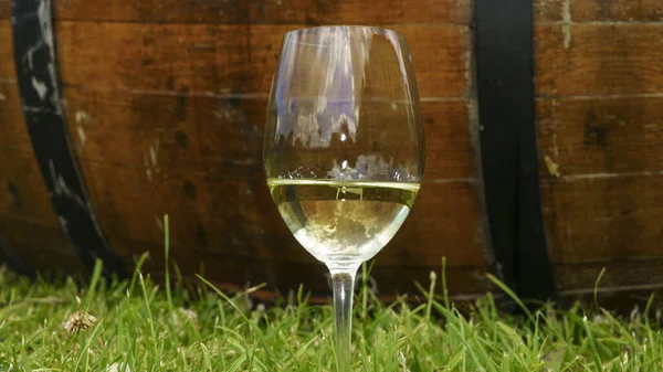 白葡萄酒在绿叶背景的杯子里 案文的篇幅 — 图库照片