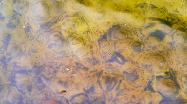 Texture of cold water and orange sand in the lake. Abstract background.