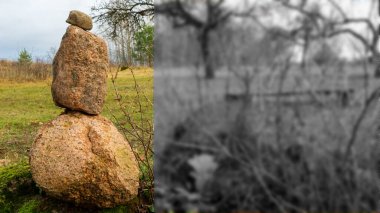 Large textures and backgrounds - perfect background with trees for text or image