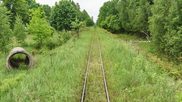鉄道のトップビュー 両側の鉄道と緑の草 狭軌鉄道軌道の一部 — ストック写真