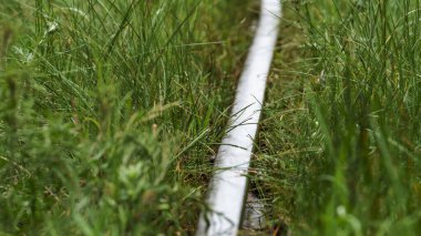 Rail overgrown with grass, illuminated by the sun. Concept of abandonment. Travel backround..