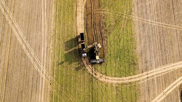 Vue Dessus Tracteur Dans Domaine Betterave Sucre Vue Aérienne — Photo