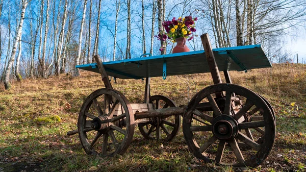 自然を背景に青い木製のカートの上に花のあるポット — ストック写真