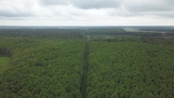 在绿林中的火车铁路的空中景观 戏剧化的天空背景下的绿林中狭窄的小径 — 图库视频影像