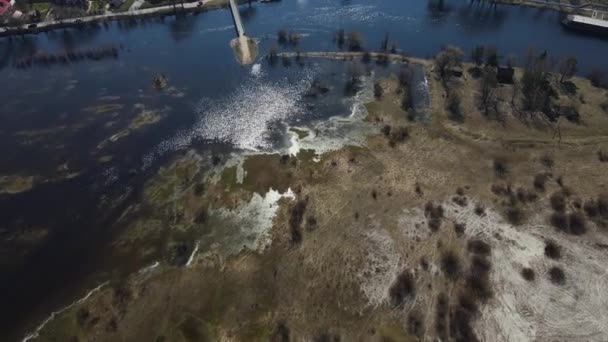 Затопленные Деревья Период Высокой Воды Деревья Воде Пейзаж Весенним Затоплением — стоковое видео