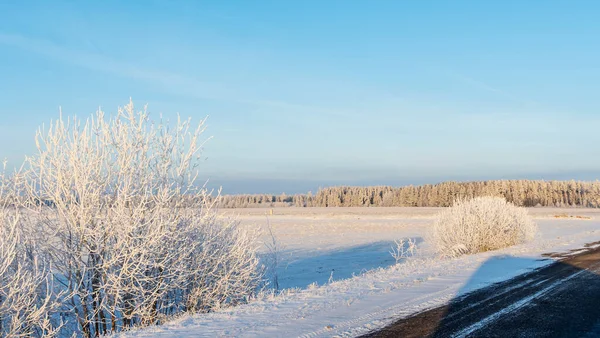 Загородная Дорога Через Зимнюю Сельскую Местность Черный Чистый Асфальт Зимняя — стоковое фото