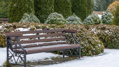 Çimenlerle kaplı kar üzerinde ahşap bir bank. Peyzaj tasarımı. Arka planda ardıç ve thuja çalıları var. Kış kavramları.