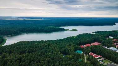 Göl kıyısında yetişen yeşil ağaç kocakarılarının hava aracı fotoğrafı. Doğa manzarası. Orman gölü manzarası. Seyahat kavramı.