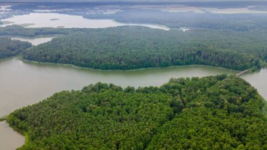 Göl kıyısında yetişen yeşil ağaç kocakarılarının hava aracı fotoğrafı. Doğa manzarası. Orman gölü manzarası. Seyahat kavramı.