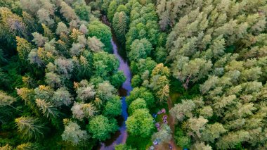 Tatillerde en iyi kamp manzarası. Nehir kıyısındaki ormanda turist çadırları. Hava görünümü.