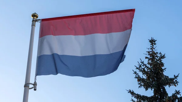Bandeira Nacional Holanda Mastro Bandeira Frente Céu Azul Com Raios — Fotografia de Stock