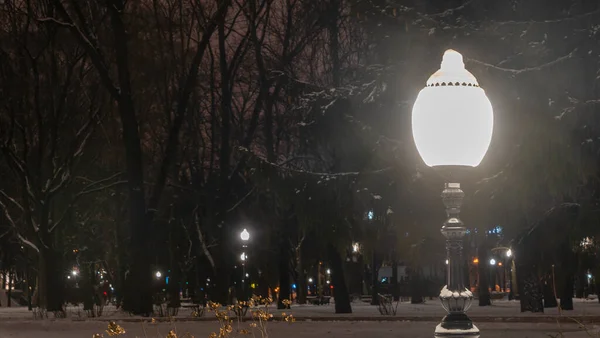 Parque Inverno Noite Escura Parque Noturno Inverno Com Lanternas Pavimento — Fotografia de Stock