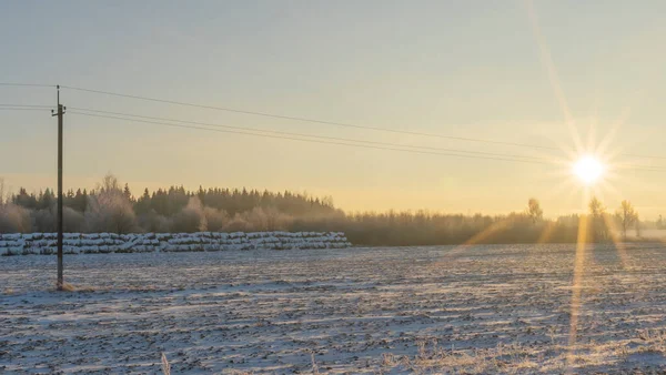 Vinterlandskap Snönatur Med Sol Fält Och Träd Magisk Vintersolnedgång Ett — Stockfoto