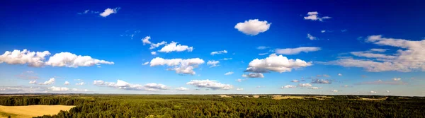 Πάνω Άποψη Των Πράσινων Πεδίων Δάσος Και Συννεφιασμένο Γαλάζιο Ουρανό — Φωτογραφία Αρχείου