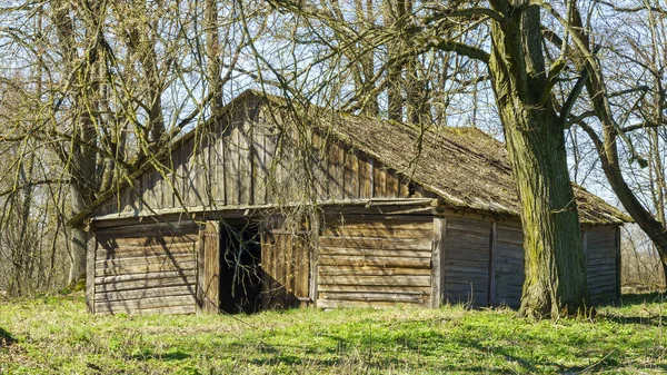 Terk Edilmiş Eski Bir Kır Evi Ağaçların Yatay Görüntüsü Taşra — Stok fotoğraf