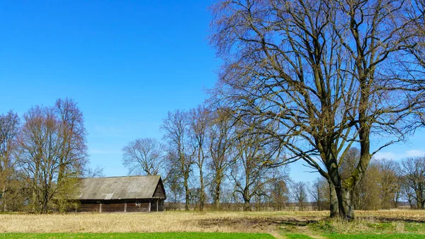 一个古老的乡村荒废房屋和自然背景下的树木的水平图像 农村的概念 案文的篇幅 — 图库照片