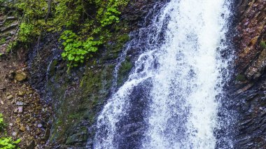 Guk Falls, Karpatlar 'ın dağlarındaki kayaları kırıyor. Seyahat konsepti. Metin için boşluk.