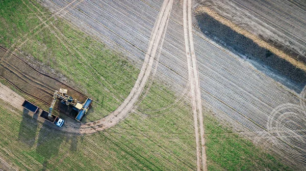 Şeker Pancarı Tarlasında Traktör Yük Vagonunun Üst Görüntüsü Hava Görüntüsü — Stok fotoğraf