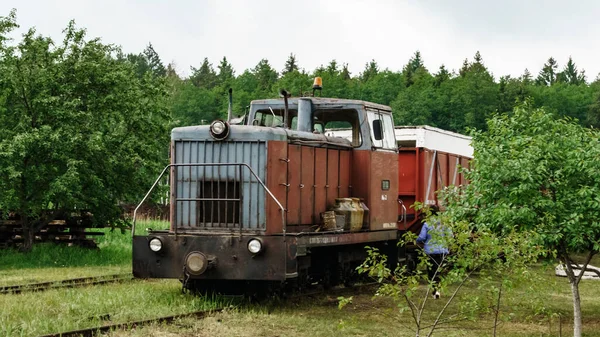 森林背景下的窄轨铁路机车视图 泥炭的提取和运输 案文的篇幅 — 图库照片