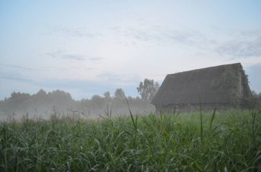 Doğa arka planında sisli eski bir ev. Sisin içinde yeşil çimenler olan çayır. Mesaj için yer var. Doğa arkaplanı.