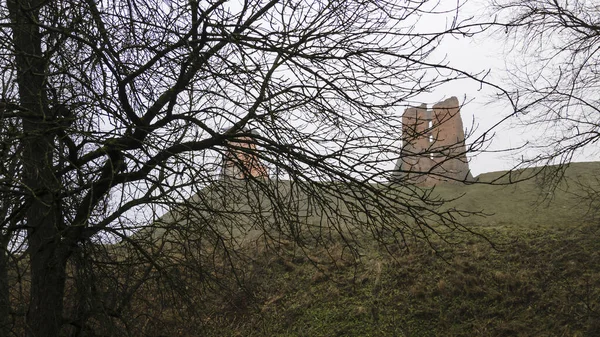 Utsikten Genom Trädgrenarna Till Ruinerna Tornet Shchitovka Och Mindovg Slott — Stockfoto