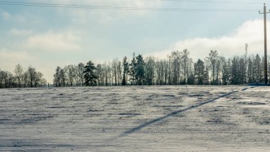 Arkasında ağaçlar olan kar altında kış tarım arazisi manzarası. Kırsalda karla kaplı kış manzarası. Metin için boşluk.