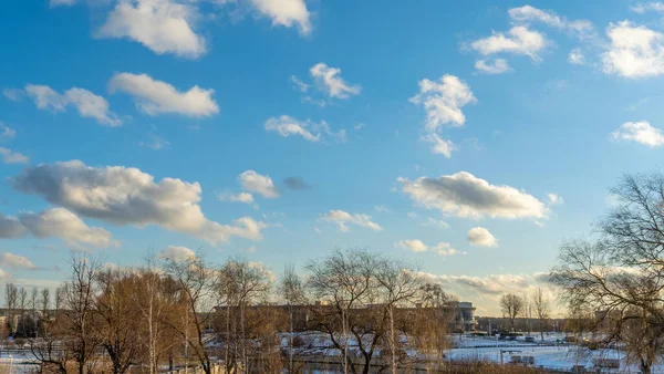 Молодий Міський Парк Тлі Яскравого Блакитного Неба Хмарами Міський Пейзаж — стокове фото