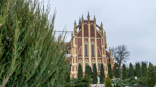 Vintergräsmatta Med Thuja Träd Och Parkskulpturer Byn Landskapsplanering Trädgårdsbegrepp Bakgrunden — Stockfoto