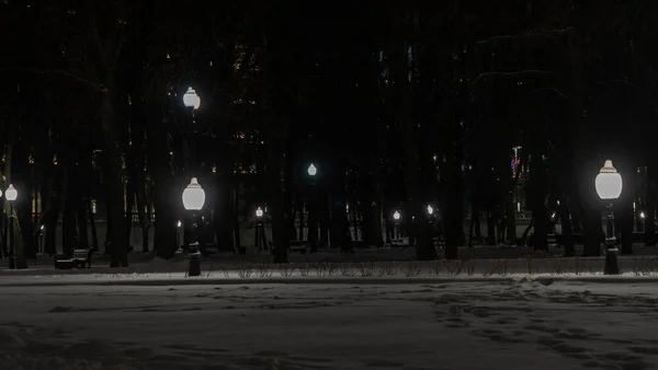 Зимовий Парк Темну Ніч Зимовий Нічний Парк Ліхтарями Тротуарами Деревами — стокове фото