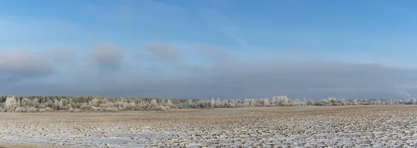 Zimowy Krajobraz Rolniczy Pod Śniegiem Drzewami Tle Zimowy Krajobraz Śnieżnym — Zdjęcie stockowe