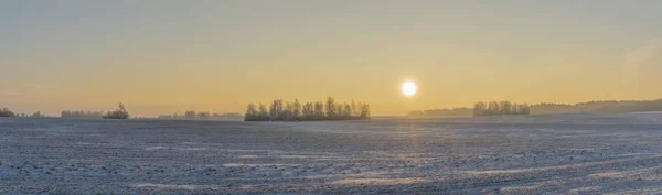 Zimowy Krajobraz Śniegu Przyrody Słońcem Polami Drzewami Magiczny Zimowy Zachód — Zdjęcie stockowe
