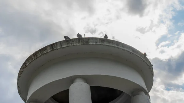 Galambok Ülnek Pavilon Tetején Felhős Hátterében Városi Életfelfogás Szöveg Helye — Stock Fotó